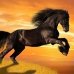 Quadro decorativo cavalo para decorar seu lar